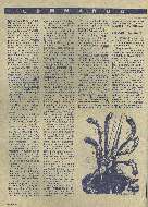 Revista Magnum Edio 08 - Ano 2 - Dezembro 1987 Página 36