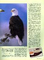 Revista Magnum Edição 09 - Ano 2 - Fevereiro 1988 Página 23