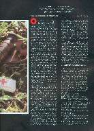 Revista Magnum Edição 09 - Ano 2 - Fevereiro 1988 Página 63