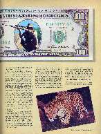 Revista Magnum Edição 17 - Ano 3 - Outubro/Novembro 1989 Página 65