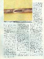 Revista Magnum Edio 39 - Ano 7 - Junho/Julho 1994 Página 74