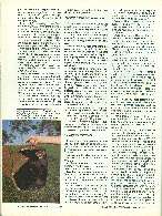 Revista Magnum Edio Especial - Ed. 05 - Armas tcnicas e tticas para o servio policial  Ago / Set 1991 Página 58