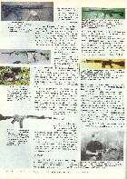 Revista Magnum Edio Especial - Ed. 09 - Submetralhadoras e Fuzil de Assalto - Nov 1993 Página 50