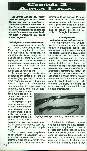 Revista Magnum Edio Especial - Ed. 18 - Manual Bsico de Armas de Defesa Ago / Set 1990 Página 18