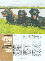 Revista Magnum Edio Especial - Ed. 25 - Caa e Conservao - Jul / Ago 2003 Página 50