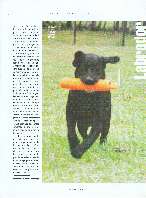 Revista Magnum Edio Especial - Ed. 25 - Caa e Conservao - Jul / Ago 2003 Página 51