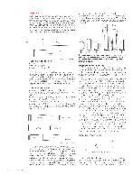 Revista Magnum Edio Especial - Ed. 50 - Guia prtico de Identificao de Munies Volume 1 Página 6