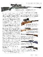 Revista Magnum Edição Especial - Ed. 57 - Armas de Pressão Página 17